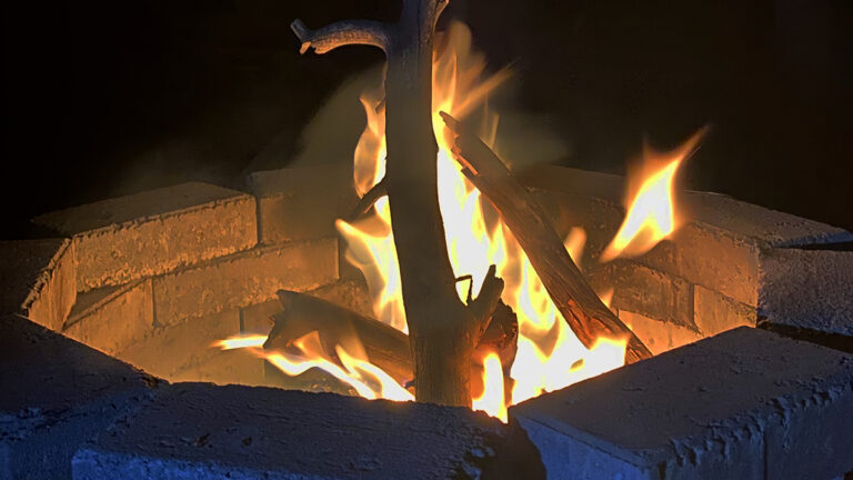 fire in a firepit
