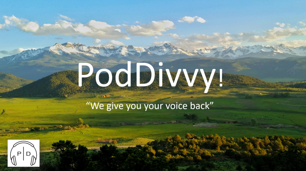PodDivvy logo