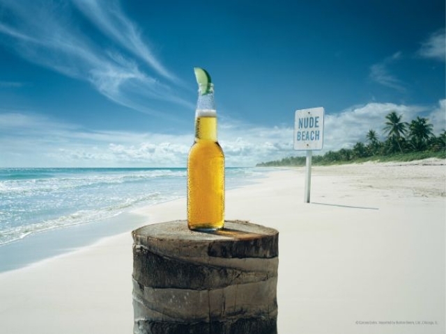 Corona beer with lime sitting on a log on a beach